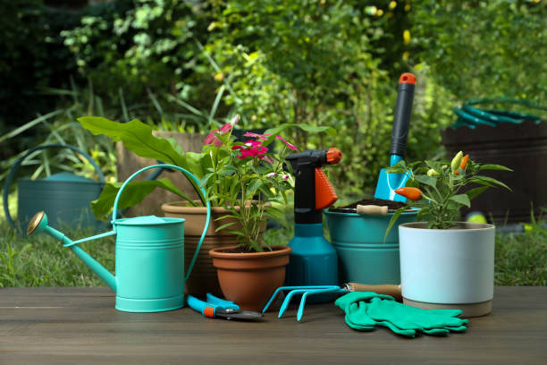 istock Beautiful plants and gardening tools on wooden table at backyard 1394219226