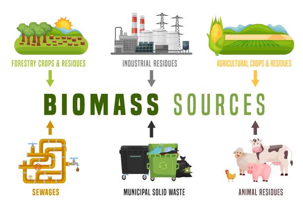 ilustrações de stock, clip art, desenhos animados e ícones de biomass energy landscape poster with useful infographics. vector illustration - alternative energy illustrations