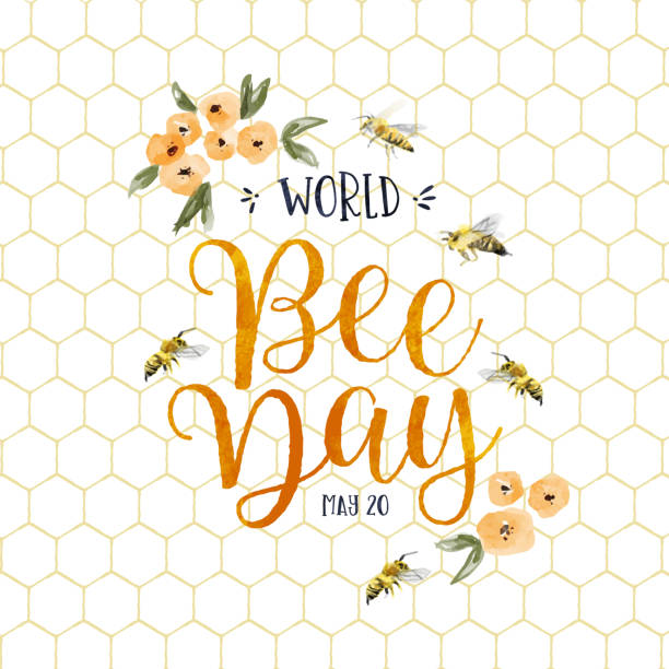 세계 꿀벌의 날 수채화 꽃벌 카드 - honey hexagon honeycomb spring stock illustrations