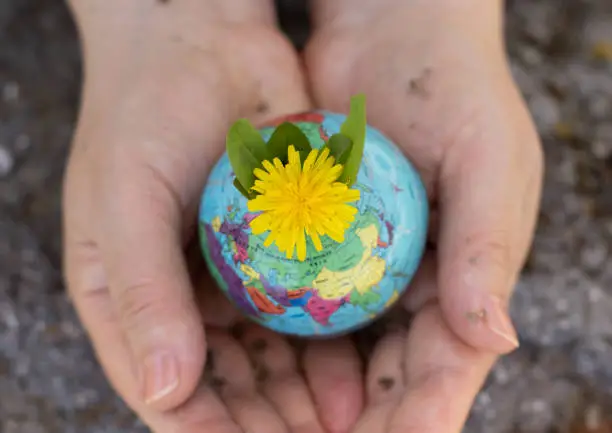 Human hands holding earth globe with dandelion flower and soil. Clean planet, green environment, ecology, and sustainability concept. Symbol of peace, growth, and hope for future. Top view, close-up.