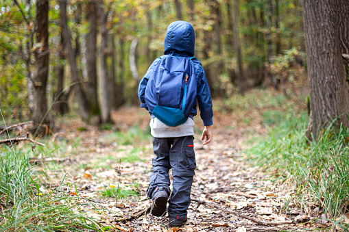 A little boy walks alone in the woods. A boy hiking in an autumn forest. A runaway boy. A Kid on the run in the wood.