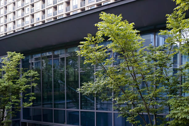 istock Big tree outside glass facade of modern building 1394240631