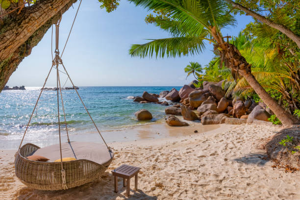 rilassatevi sulla spiaggia tropicale petite anse kerlan con tipiche formazioni rocciose di granito e palme sull'isola di praslin, granitic seychelles, paese dell'arcipelago nell'oceano indiano - hammock beach vacations tropical climate foto e immagini stock