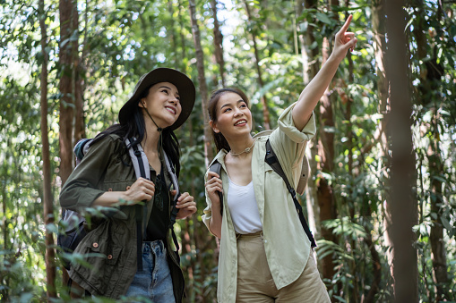 Asian friend girls backpacker friend travel in forest wild together. Attractive young women couple traveler walk and exploring nature wood with happiness and fun during holiday vacation trip on summer