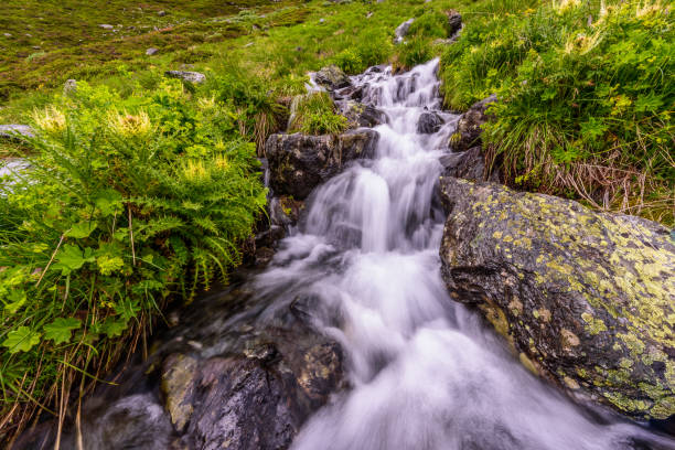 A small waterfall flowing into Oberbergbach river in austrian Stubai alps A small waterfall flowing into Oberbergbach river in austrian Stubai alps neustift im stubaital stock pictures, royalty-free photos & images
