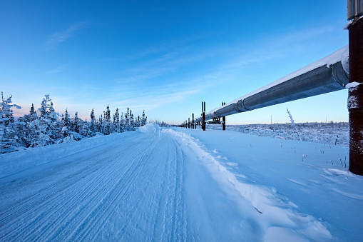 side view of trans-Alaska pipeline reflecting blue sky, USA.