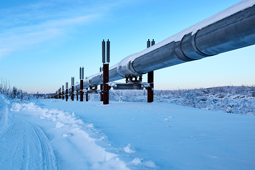 side view of trans-Alaska pipeline reflecting blue sky, USA.