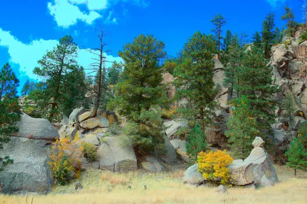 Small Autumn Aspen and Evergreen trees are mixed in amongst large boulders at the base of a rocky cliff. White clouds dot a deep blue sky.