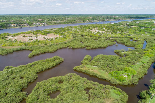 Wetlands in Coastal Florida Community
