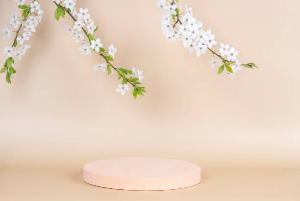 istock Geometric podium platform stand for product presentation and spring flowering tree branch with white flowers on pastel background. Front view 1394247620