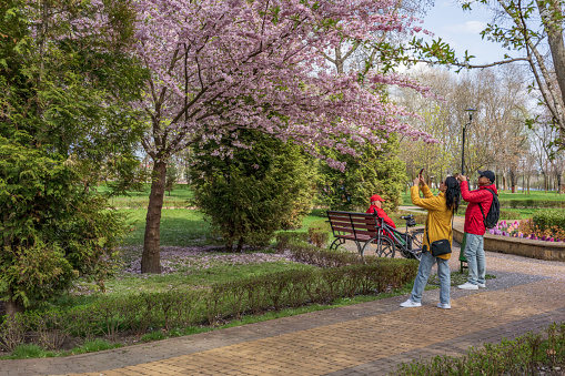 People enjoy and take pictures near cherry blossoms in Natalka park on Obolon, Kyiv.