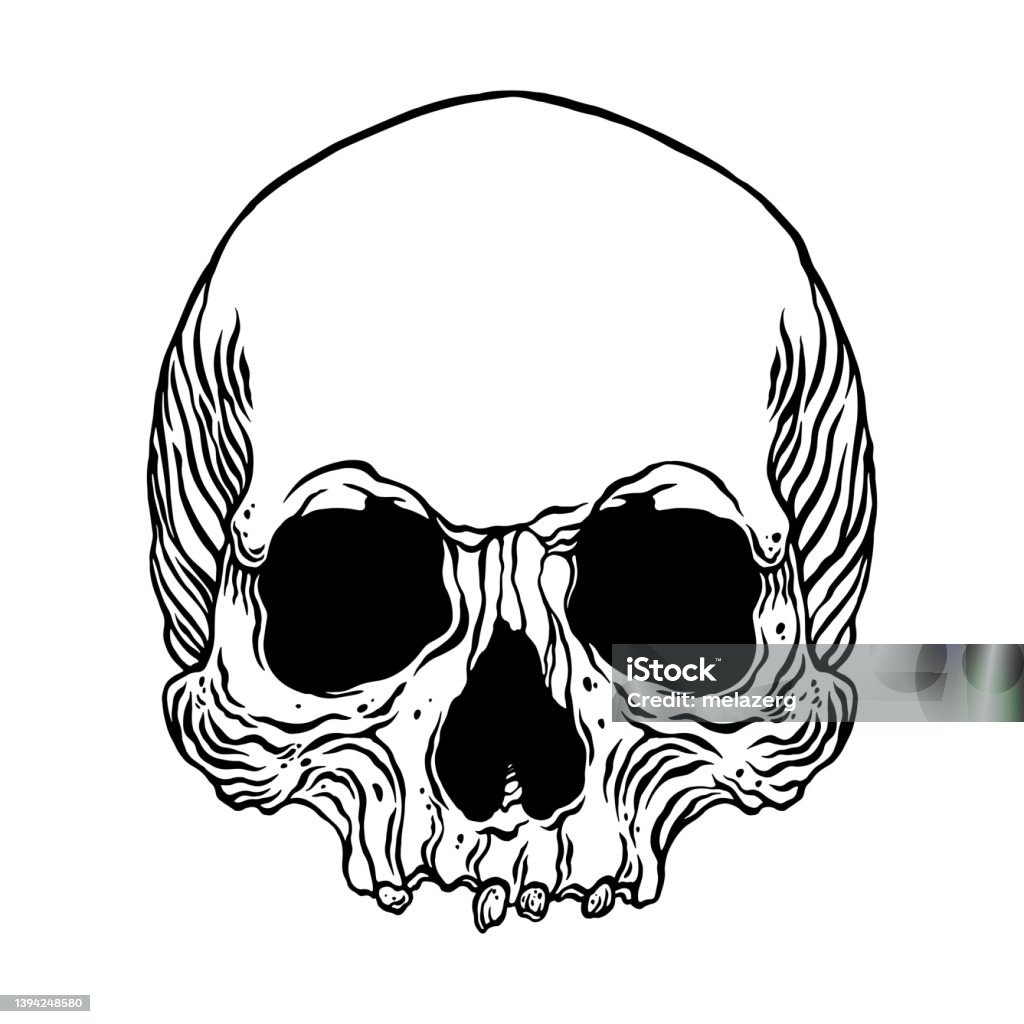 Tengkorak Manusia Anatomi Ilustrasi Stok - Unduh Gambar Sekarang - Gaya
