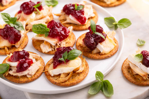 apéritifs de fête avec sauce à la dinde, au brie et aux canneberges - sandwich turkey cranberry cheese photos et images de collection
