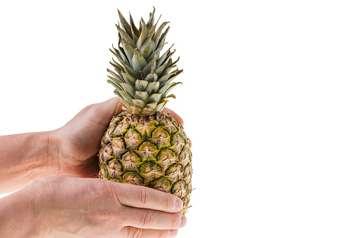 Close up view of man's hands holding pineapple isolated on white background. Sweden.