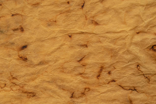 istock old stained paper, with brown spots 1394271910