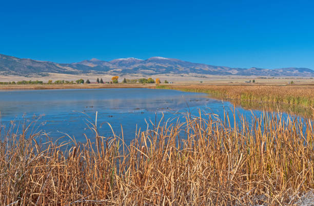 istock Wetland Pond in a Mountain Valley 1394272049