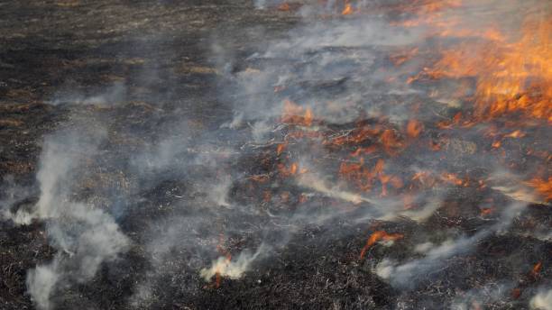 istock Fire in the field. Forest fire. Burning dry grass, ashes and flames. Heavy smoke from the fire. 1394272707
