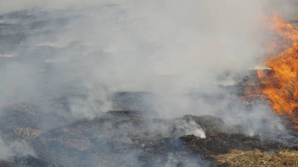 istock Fire in the field. Forest fire. Burning dry grass, ashes and flames. Heavy smoke from the fire. 1394272773