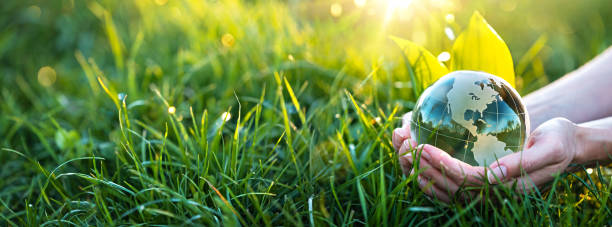 istock Green planet in female hands. Eco concept 1394276896