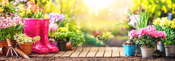 istock Garden flowers, plants and tools on a sunny background 1394276924