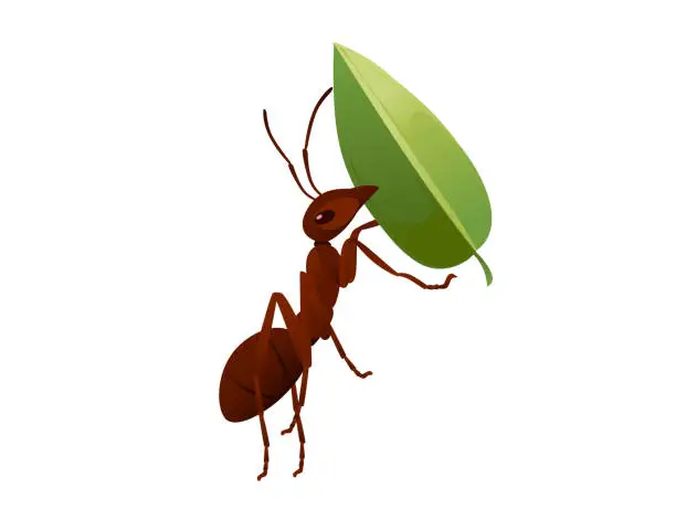 Vector illustration of Cute brown ant holding a green leaf cartoon bug animal design vector illustration isolated on white background