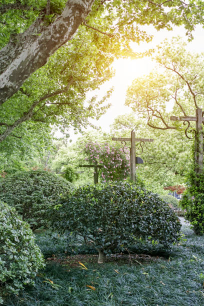 istock garden in the sun 1394277886