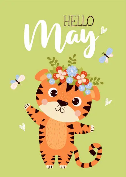 Vector illustration of Postcard Hello May. Cute tiger cub with flower wreath on its head and butterflies. Vector illustration. Spring May card with tiger character for design, decor, postcards and print, Kids collection