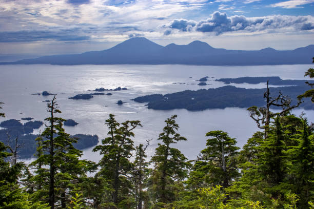 islands in sitka sound, in southeast alaska - sitka imagens e fotografias de stock