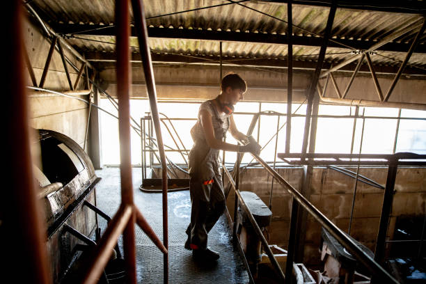 Workers in a food processing factory packaging food