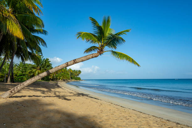 istock Beach in Coson Bay. Las Terrenas. Dominican Republic 1394286643