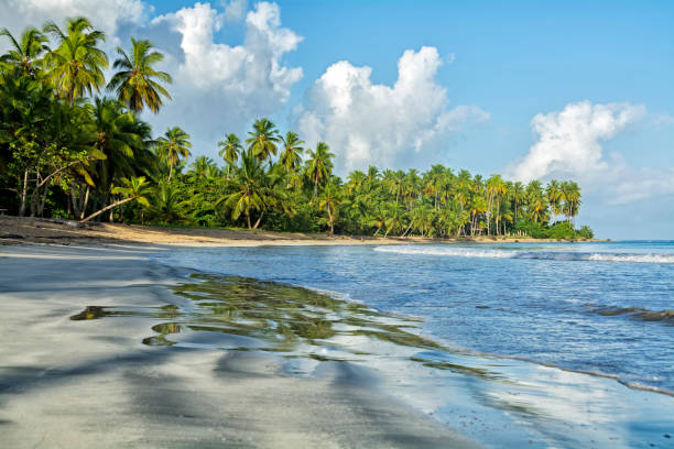 istock Beach in Coson Bay. Las Terrenas. Dominican Republic 1394287731
