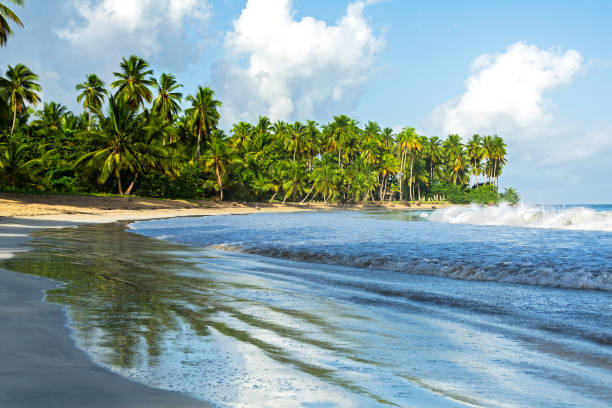 istock Beach in Coson Bay. Las Terrenas. Dominican Republic 1394287868