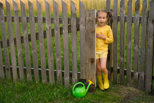 A funny girl in yellow rubber boots with a watering can stands at the wooden gate with a astonished look. The child takes care of the plants by watering them
