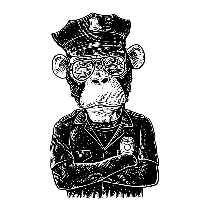 Monkey with paws crossed dressed in police uniform. Vintage vector monochrome engraving