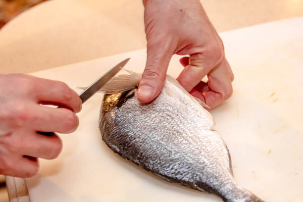 il processo di macellazione del pesce luccio per friggere in padella. la mano di una donna anziana taglia il pesce su un tagliere da cucina - prepared fish foto e immagini stock