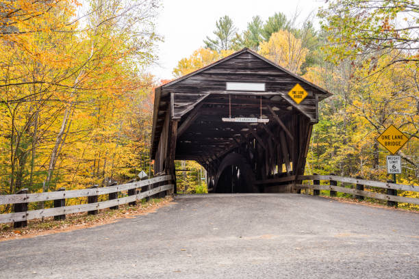 istock Historic wooden covered bridge in a forest setting in autumn 1394293233
