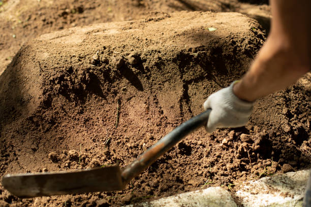 istock Undertaker strikes grave. Shovel and earth. Man is digging ground. Sand ramming. 1394296074