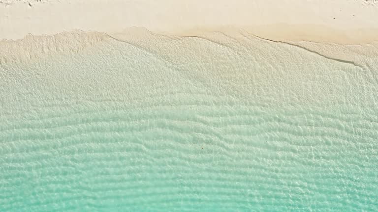 Aerial view of the tropical beach with white sand