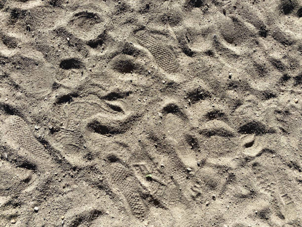 istock beach footprints sandy lake shore beach sunset feet shoreline shoe boot prints dirt walking path 1394298925