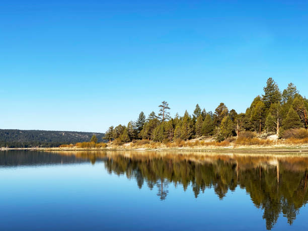 istock calm forest lake morning reflections clear blue sky mirror reflection shoreline mountains lakeside water edge 1394298994
