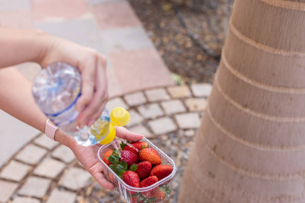 Woman's hands washing strawberries with water from a small bottle outside. Berries.