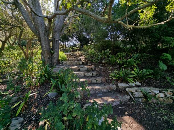istock Nature reserve stairs 1394301194