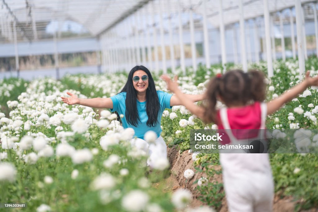 Photo of toddler girl running toward mother in flower garden Photo of 3,5 years old girl wearing a pink t-shirt running toward mother in flower garden arms outstretched. Shot under daylight. 2-3 Years Stock Photo