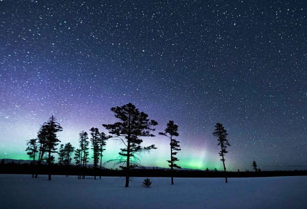 ユーコン準州から見たオーロラ、カナダ - yukon ストックフォトと画像