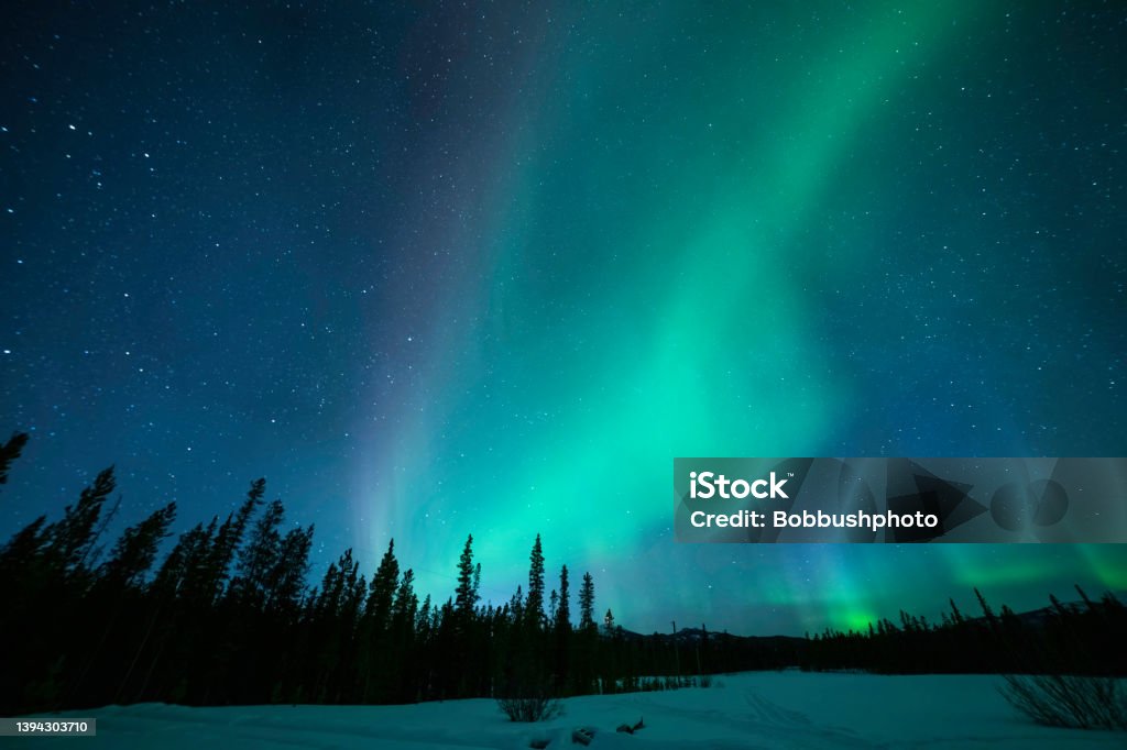 Northern Lights as seen from the Yukon Territory, Canada Aurora as seen from about 30 minutes south of Whitehorse in the Yukon Aurora Borealis Stock Photo