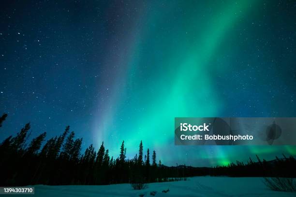 Northern Lights As Seen From The Yukon Territory Canada Stock Photo - Download Image Now