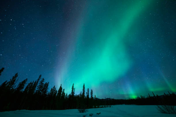 luzes do norte como visto do território yukon, canadá - yukon - fotografias e filmes do acervo