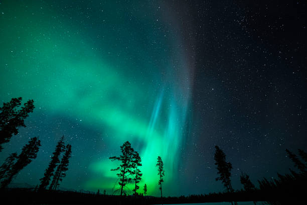 istock Northern Lights as seen from the Yukon Territory, Canada 1394304801