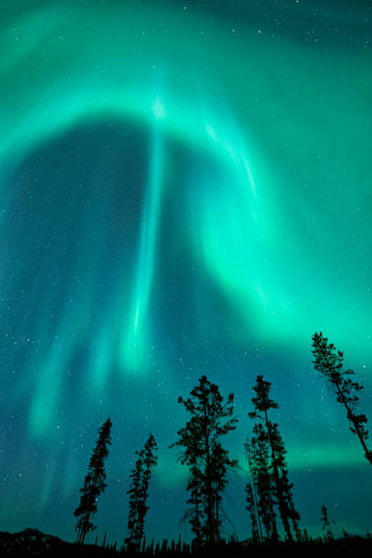 Aurora as seen from about 30 minutes south of Whitehorse in the Yukon