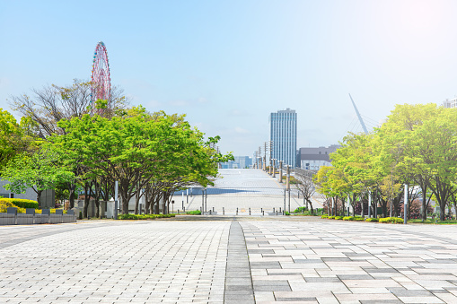 Street and Roadside trees